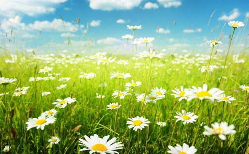 (幼兒園語言論文)借助現代教學媒體推動幼兒語言能力發展