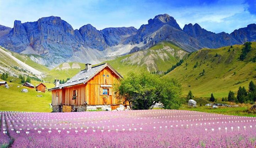 (園林景觀設計論文)范文：景觀綠化苗木種植技術