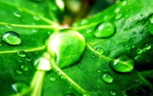 (高中數學論文)范文:高中數學教學培養學生思維能力的探究 (高中數學論文)范文:高中數學教學培養學生思維能力的探究