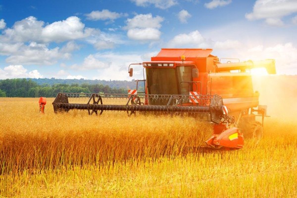 農業論文發表 農業論文發表