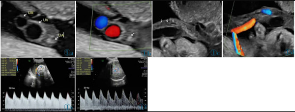 臨床醫(yī)學(xué)論文5000字 臨床醫(yī)學(xué)論文5000字